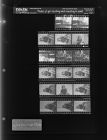 Photos of girl reading and standing in yard (17 Negatives), September 29-30, 1966 [Sleeve 45, Folder b, Box 41]